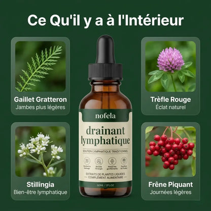 Nofela® Drainant Lymphatique